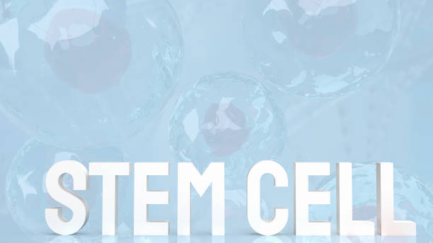 Benefits of Stem Cell therapy for Dallas-Fort Worth