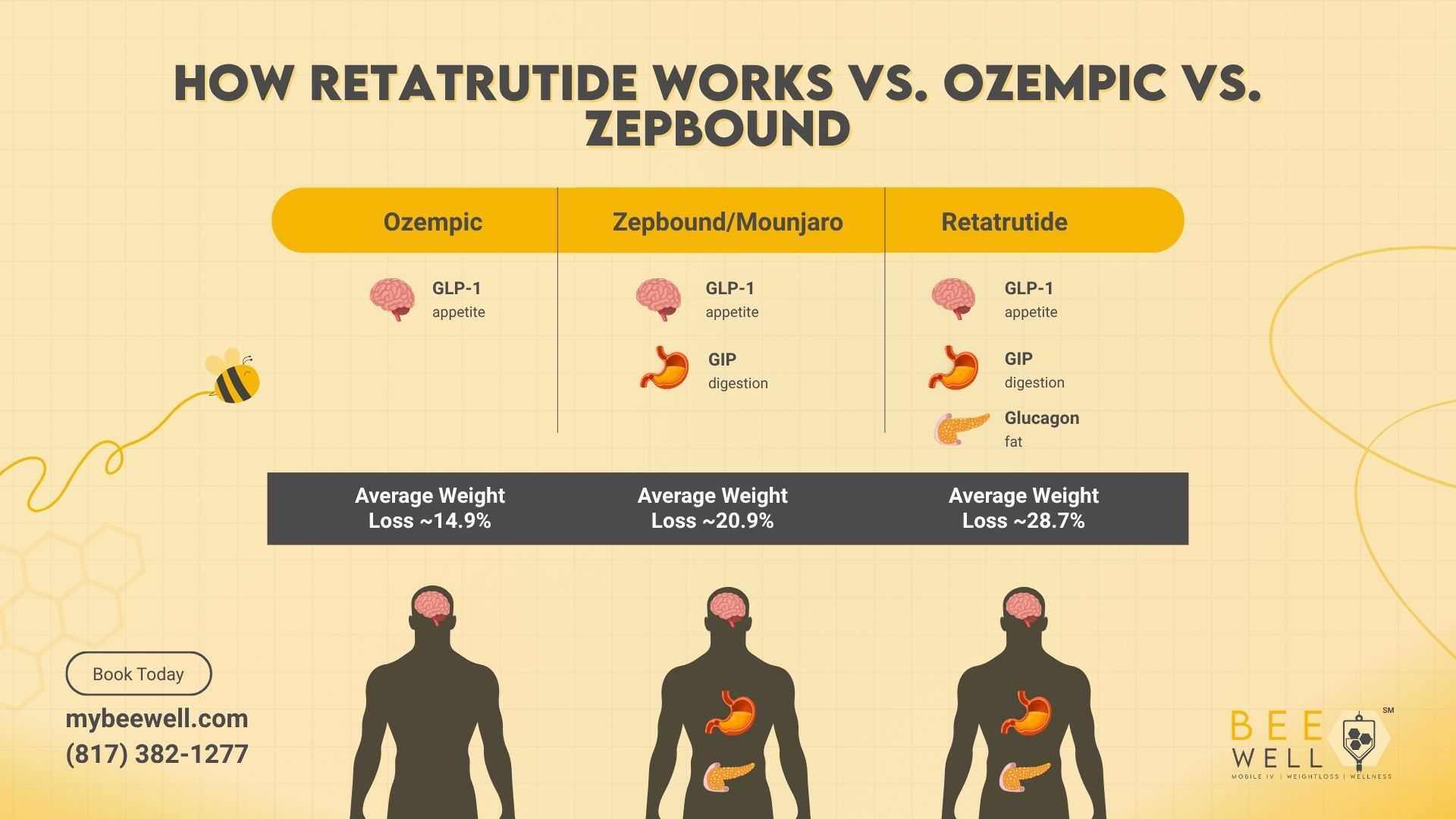 Retatrutide Weight Loss Program