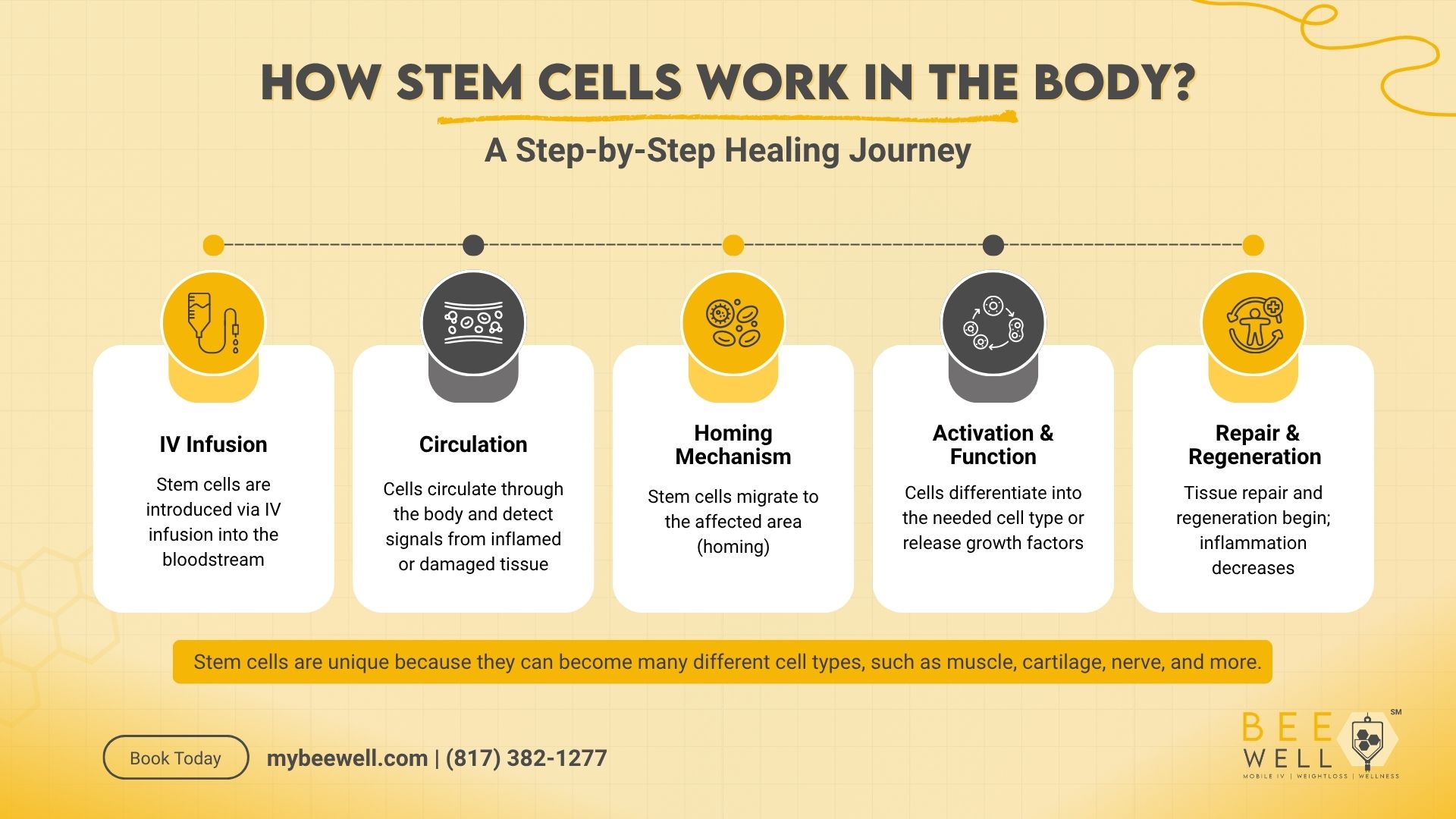 How At-Home Stem Cell Therapy work in the Body